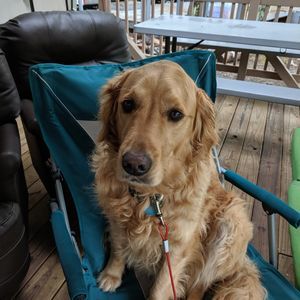 Meet your Posher, Casey